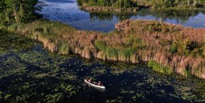 Canoeist paddles along the Trent-Severn Waterway