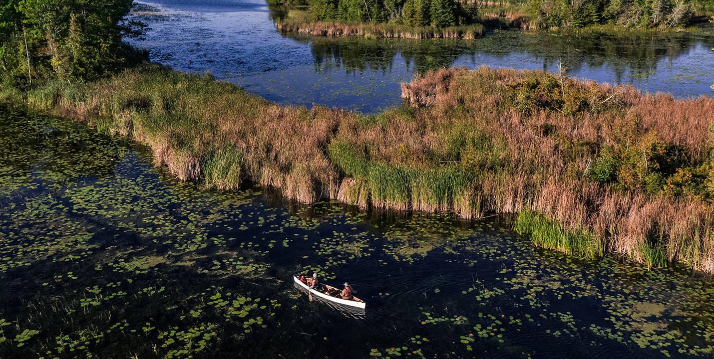 Canoeist paddles along the Trent-Severn Waterway