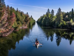 A canoe heads down a narrow channel with trees on either side
