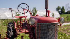 An old red tractor sits in a field