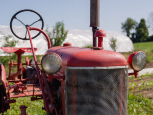 An old red tractor sits in a field
