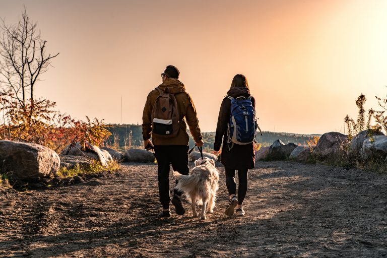 Couple walking with a golden retriever on a trail with the sun setting