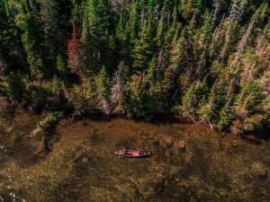 Canoe in shallow water close to shore, seen from directly overhead