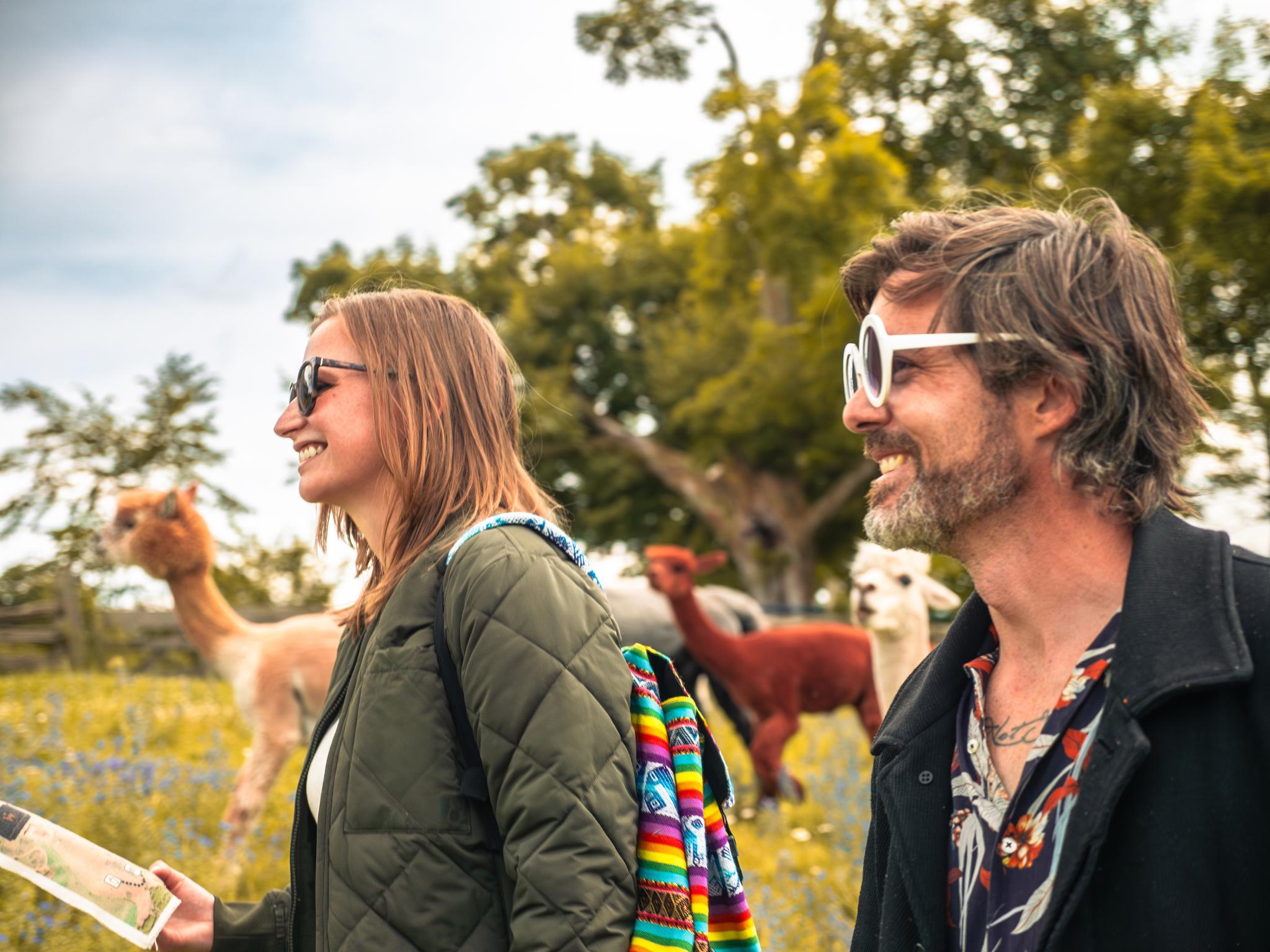 Two people walk to the left, alpacas beside them