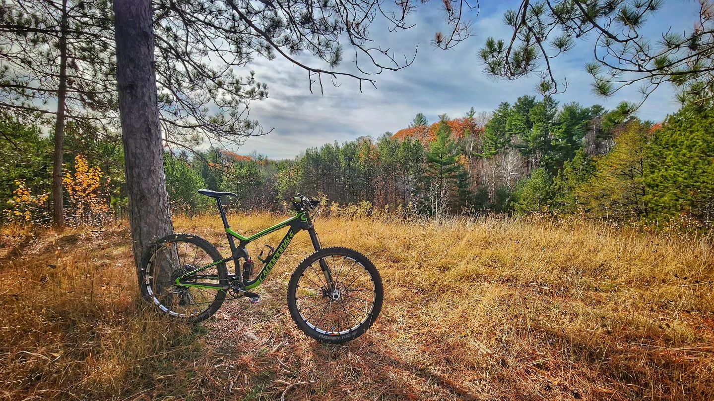 Mountain bike leaned up against a tree with a forest behind and blue sky