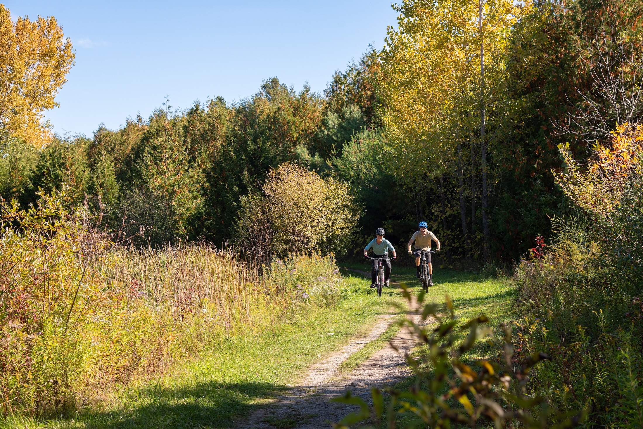Cyclists on a flat stretch of mountain bike trail in fall